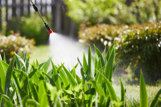 Tamper-Resistant Bait Stations for Rodents in Poolesville