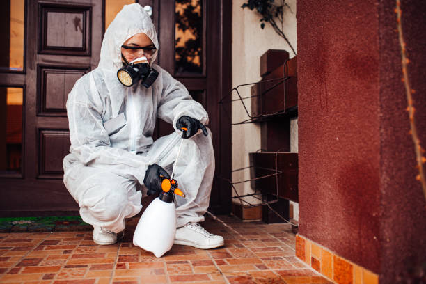 Attic and Crawl Space Rodent Treatment in Poolesville