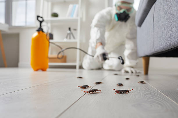 Commercial Rodent Management in Poolesville